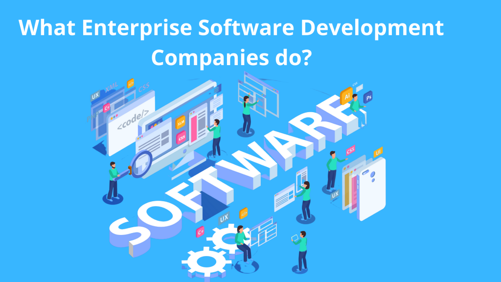 What-Enterprise-Software-Development-Companies-do