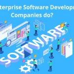 What Enterprise Software Development Companies do