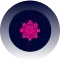 Icon Container 2 converted compressed