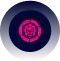 continuous optimization converted compressed 2
