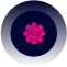 development converted compressed 1
