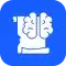 Dedicated QA team 7 experience across domains platforms converted compressed